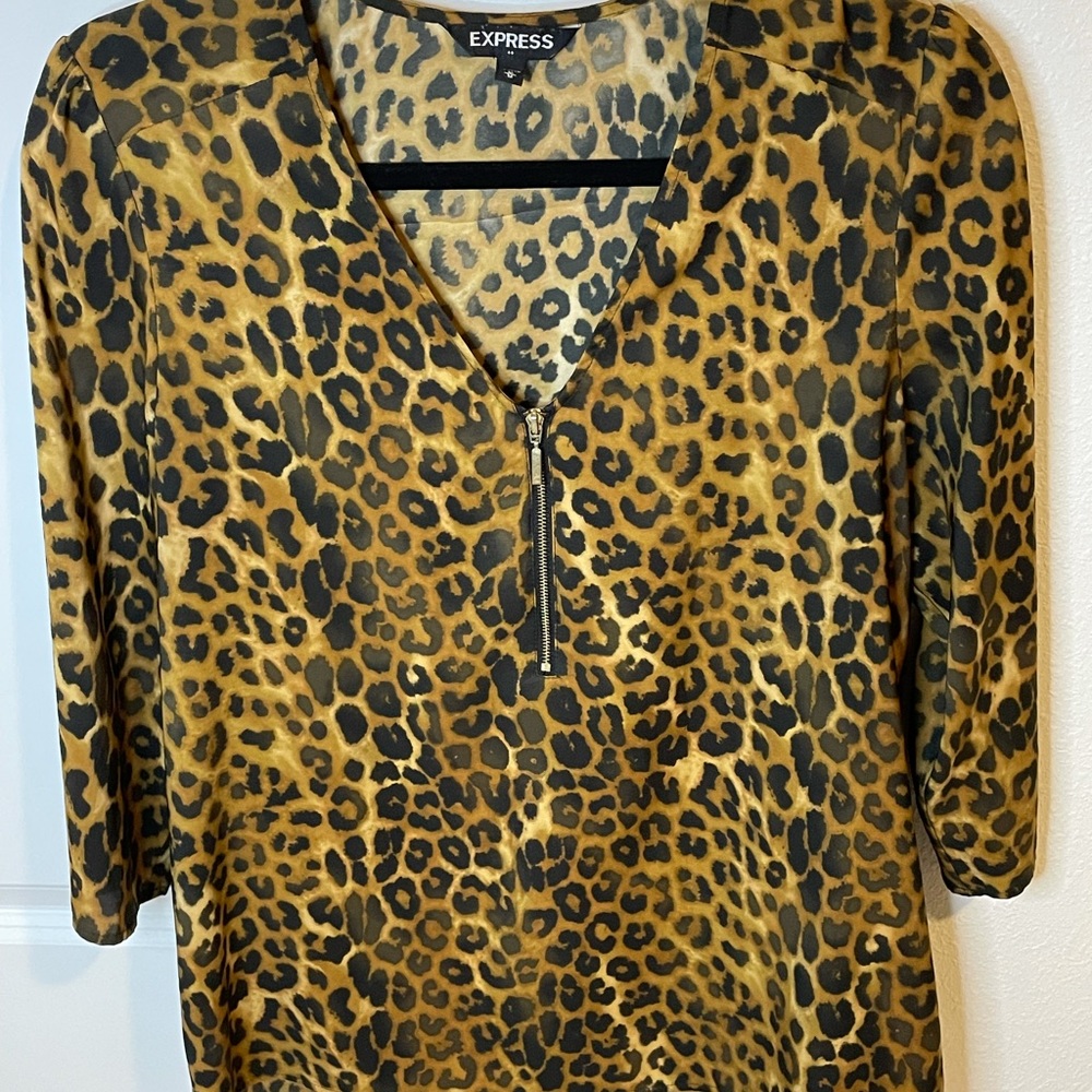 Express Blouse